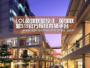 案例展示一