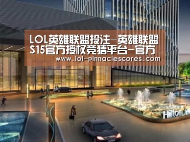 案例展示二
