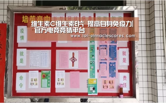 维生素C维生素E片 提高自身免疫力| 官方电竞竞猜平台
