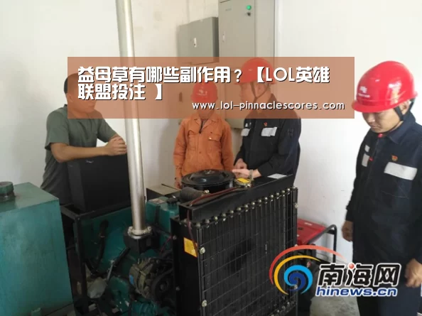 益母草有哪些副作用?【LOL英雄联盟投注 】(图4) LOL英雄联盟投注
