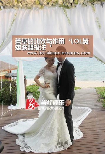 蓍草的功效与作用‘LOL英雄联盟投注 ’(图1) 官方电竞竞猜平台