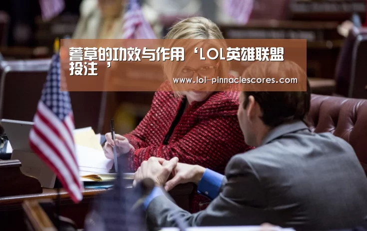 蓍草的功效与作用‘LOL英雄联盟投注 ’(图3) 官方电竞竞猜平台