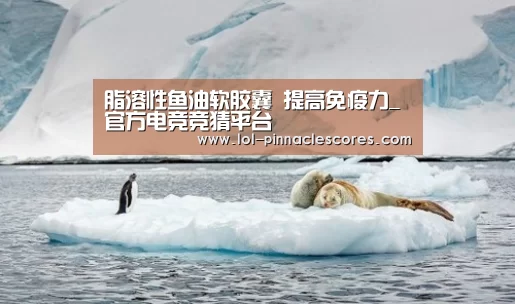 脂溶性鱼油软胶囊 提高免疫力_ 官方电竞竞猜平台(图1) LOL英雄联盟投注